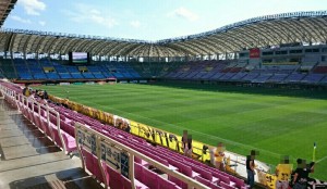 サッカー場のグリーン